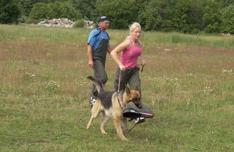 Training in Estonia 6/2007